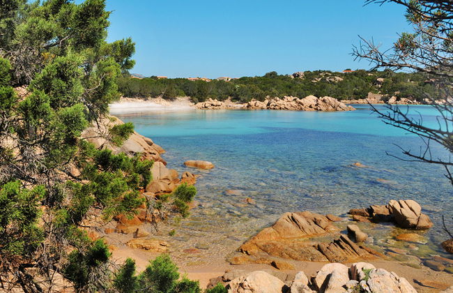 Bougainvillae Trilo Plus - Foto 29