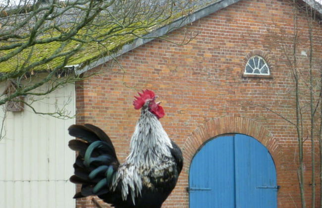 Farm Ferienhof Albert - Photo 20