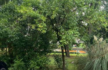 Patty Flat - 15 min from Venice & Free Parking - Photo 46