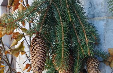 Au charmant chablis - Foto 10