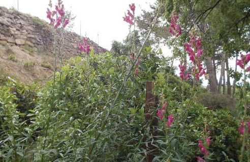 5 Bedroom Nice Home In Azillanet - Foto 18