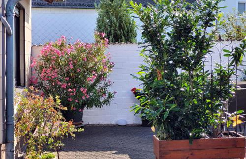 Eifelferienhaus Thome - Foto 28