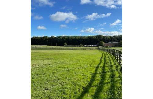 Swallow Cottage - Foto 61