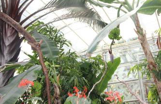 Le petit nid étoilé - Gare, Jardin botanique, Wifi - Foto 22