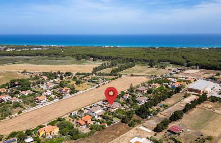 Long Green House - Photo 16
