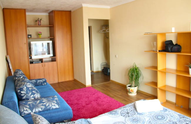 Apartment on Chelyuskintsev 23 10 floor - Foto 1