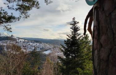 Le chalet de Rothenbuhl - Photo 19