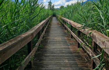 Alla Posta Mini Appartamento - Foto 24