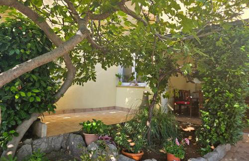 Apartmani Sanja - Foto 33