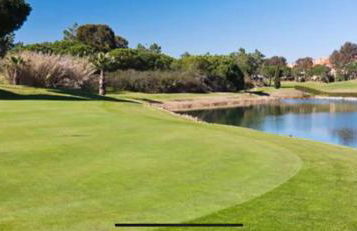 Kiko Las Americas - Photo 30