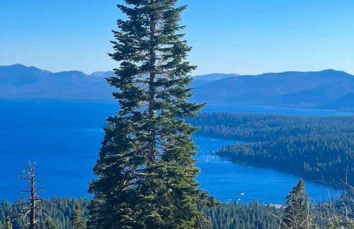 A Taste of Tahoe - Foto 6