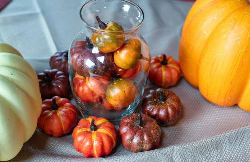 Smokies Overlook Lodge - Foto 36