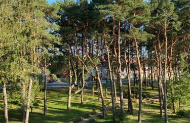 Apartament Woda i Zieleń - Foto 8