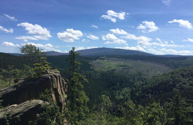 The old Cobbler House - Foto 16