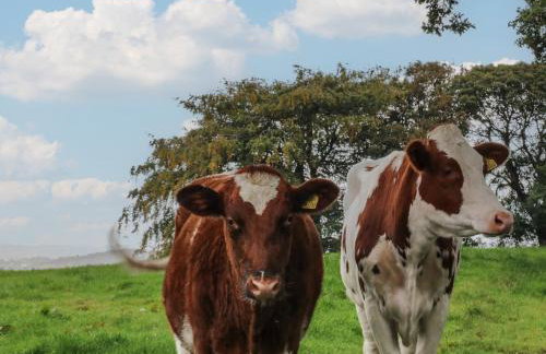 Small Lane Barn - Foto 54