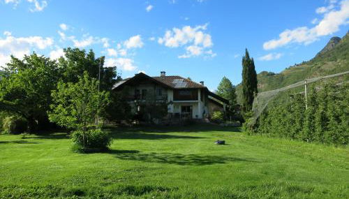 Feldererhof - Foto 3, Garden