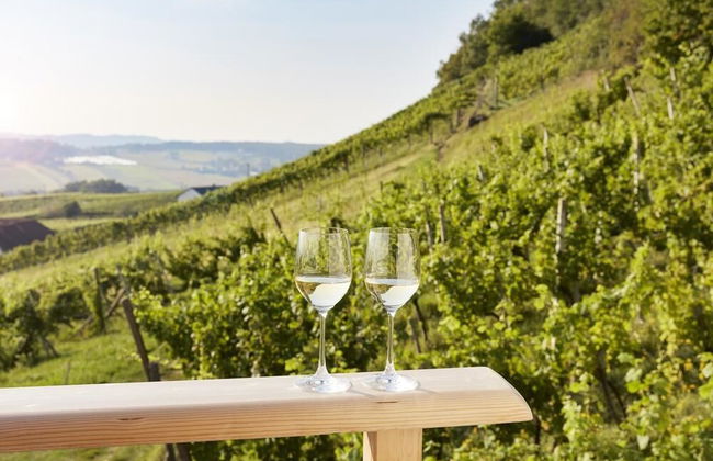 Weinberg Lodge - Kellerstöckl - Foto 10