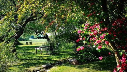 Hof Garz - Foto 3, Garden