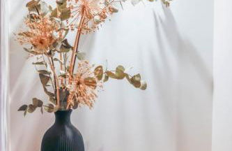 Lapis lazuli - T3 parking proche lac - Foto 16