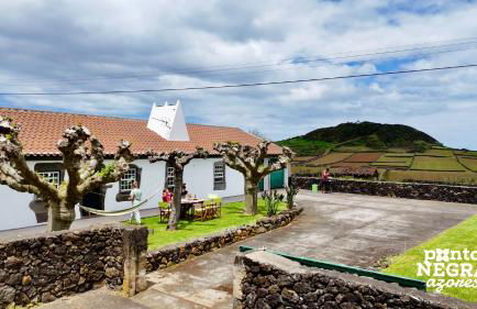 Casa das Vaquinhas by Ponta Negra Azores - Photo 21
