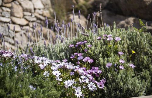 Newly built spectacular Sunset villa at St. John, Mykonos - Foto 38