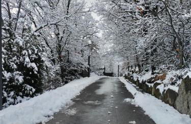 El rincón del Pirineo - Foto 40
