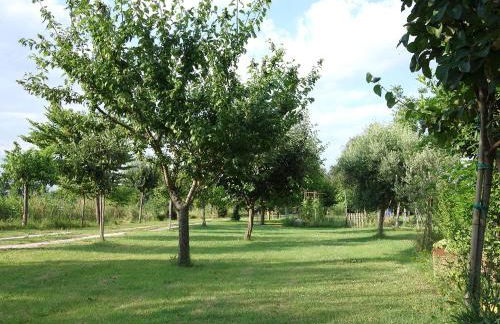 Il mulino di Augusto e Marianna - Foto 36