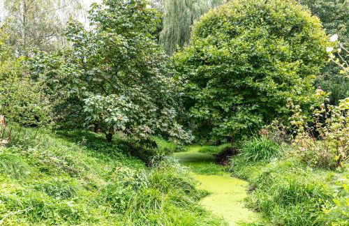 Wohnung am Stadtrand im Grünen - Foto 27