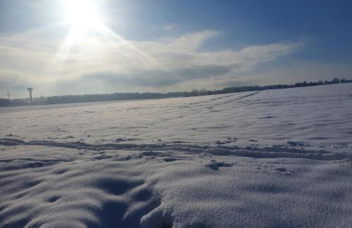 Anni's Waldblick - Foto 20