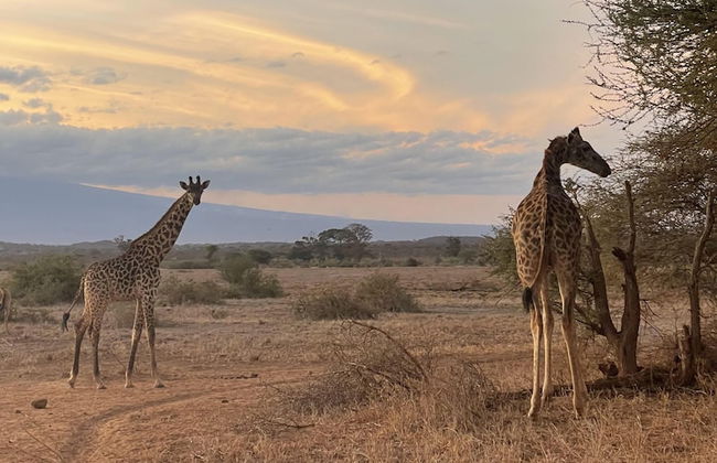 Caster JKIA Homes - Foto 74