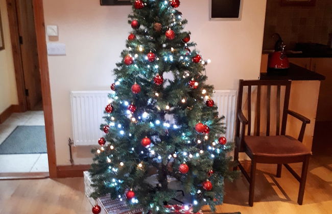 Birchdale Apartment - Photo 7