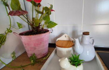 Casa Mariseta y Tonet, naturaleza a 2 km del mar - Foto 35