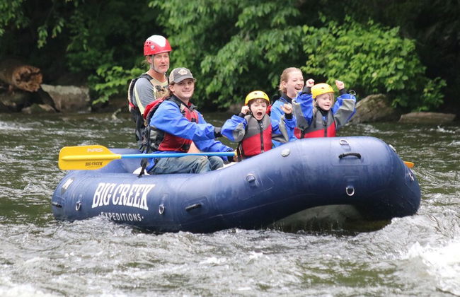 Cedar Falls 8 - Three Bedroom Chalet - Foto 25