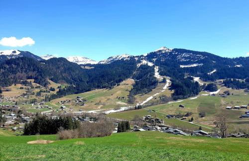 Charmant Studio Duplex 26m2 à la montagne - Foto 16