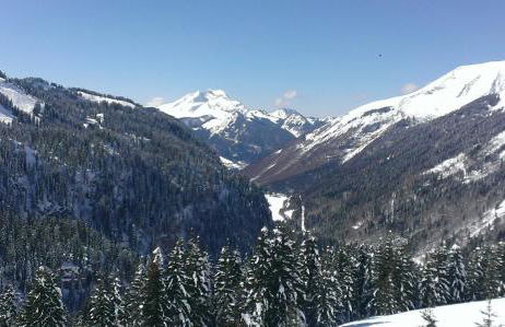 Apartment La Chapelle d'Abondance - Foto 19