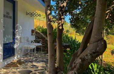 Quinta São José - Museu do Triciclo - Photo 37