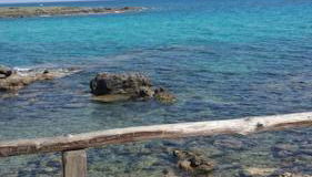 Villa Francesco & Chiara - Foto 4