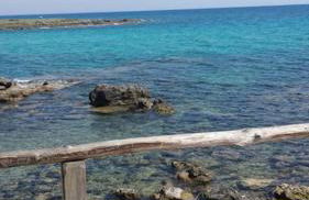 Villa Francesco & Chiara - Foto 4