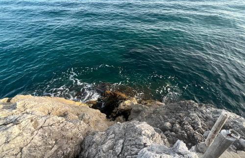 villa shulman - Foto 48