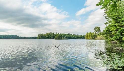 Mitten Lake Retreat - Foto 3