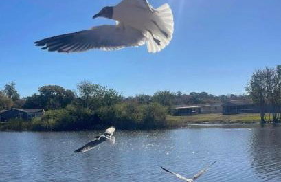 Private Tropical Waterfront Sanctuary w pool, hot tub & an island! Pet Friendly - Foto 1