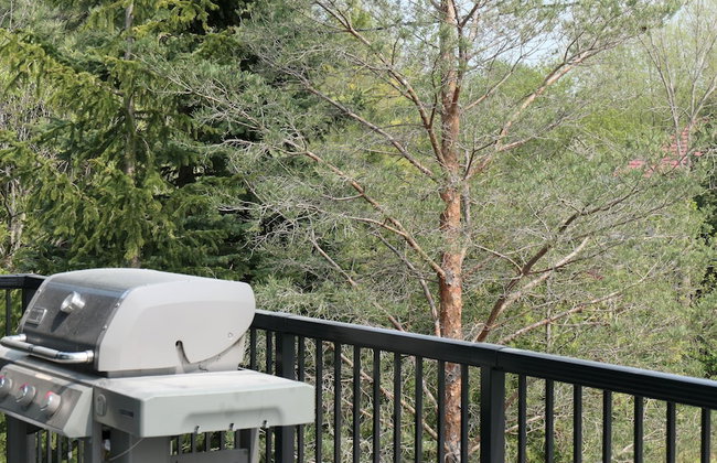 107 Birchview Trail - Photo 63