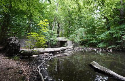 Ferienwohnungen am Krakower See - Foto 33