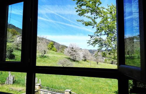 Finca Artienza - Foto 37