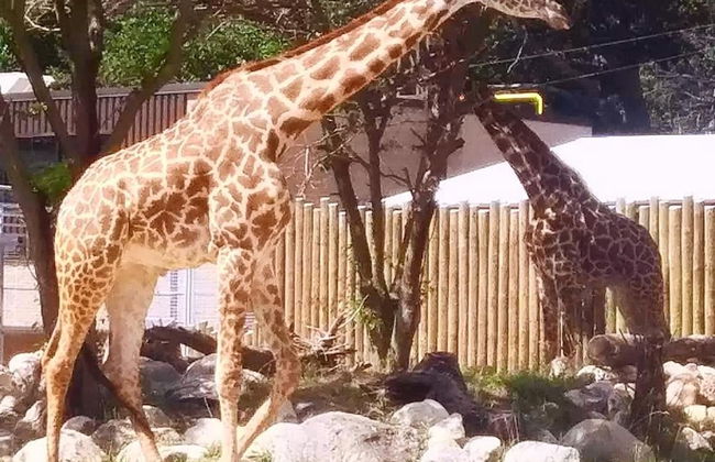 Updated Bungalow Steps to Notre Dame 410 - Foto 36