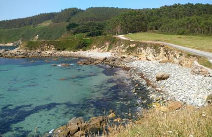 Casa Viveiro - Foto 29