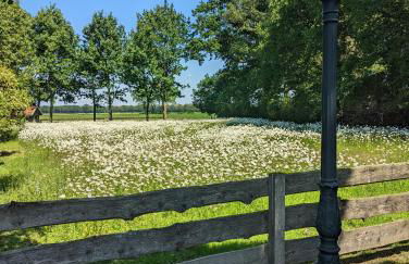 Natures-Rest Wielen "Mendhoo" - Foto 19