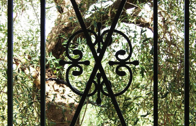 Bioagriturismo Masseria Sciaiani Piccola - Photo 22