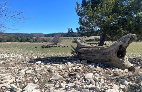 La Bastide du Père Marius - Foto 9
