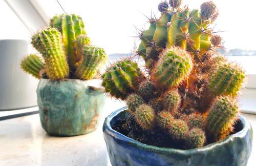 Business-Apartment Ahrensburg - Foto 27